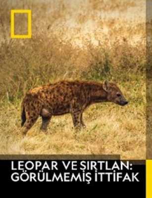 Leopar ve Sırtlan: Görülmemiş İttifak (2020)